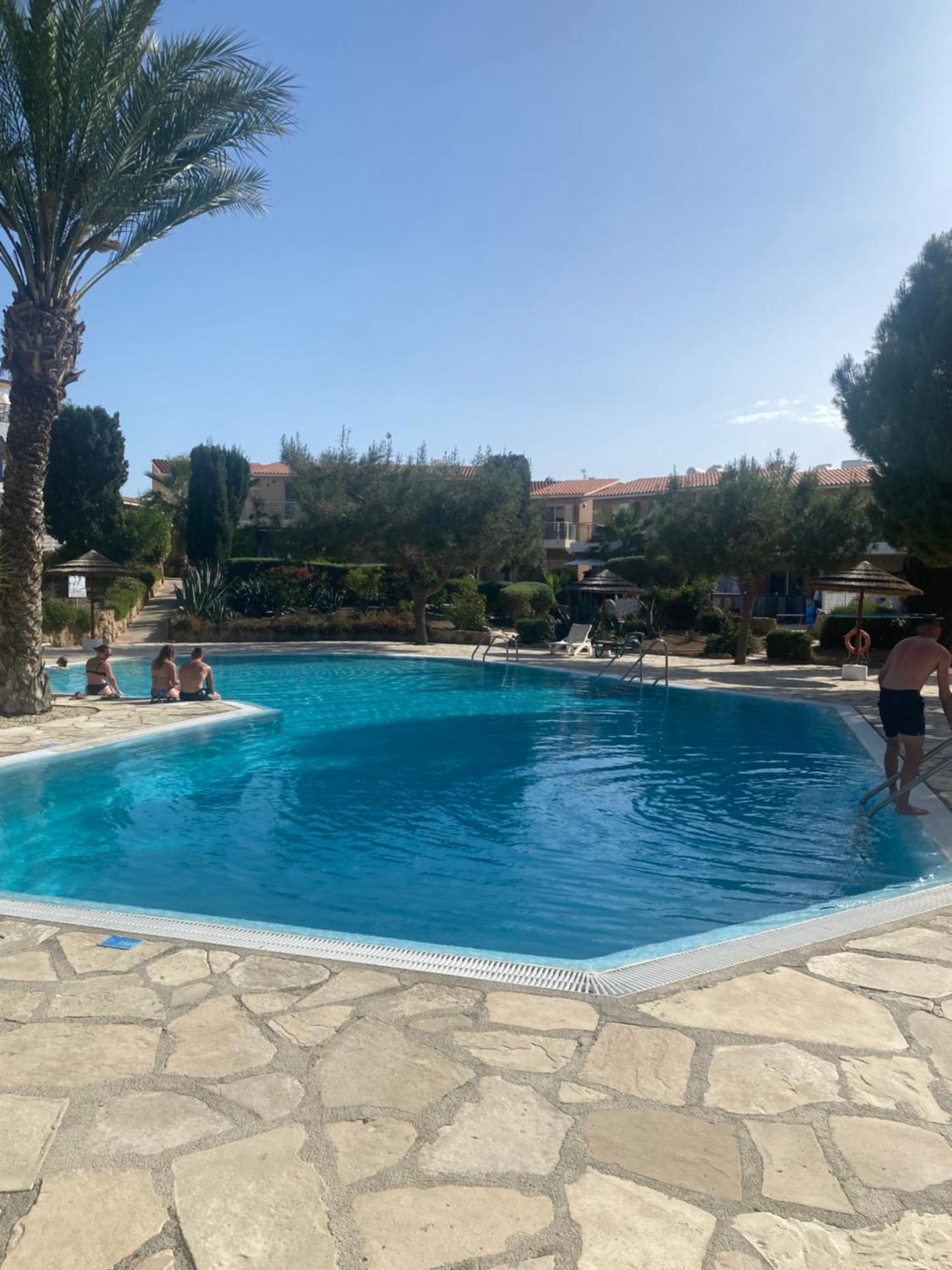 Newly Renovated- Regina Gardens 1, Venus Beach 500 M, Sea&Sunsets View, License Ooo7141 Pafos Zewnętrze zdjęcie