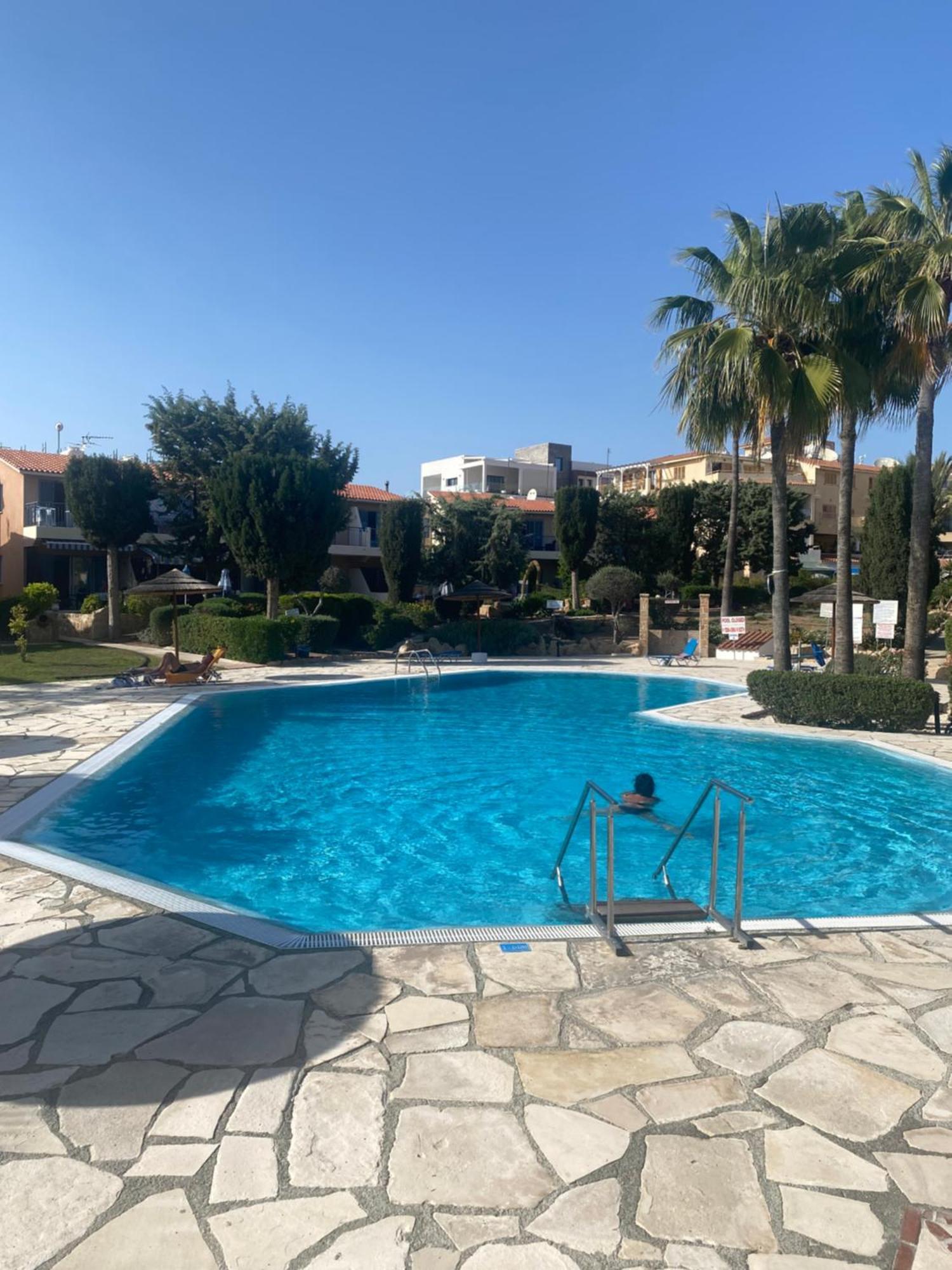 Newly Renovated- Regina Gardens 1, Venus Beach 500 M, Sea&Sunsets View, License Ooo7141 Pafos Zewnętrze zdjęcie