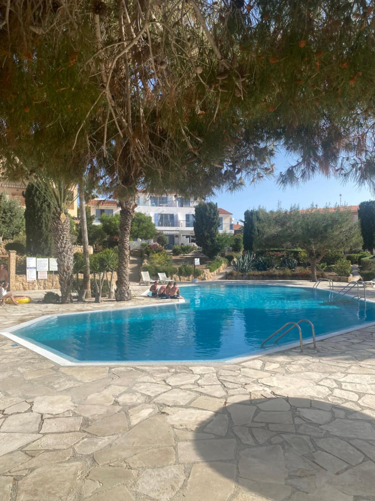 Newly Renovated- Regina Gardens 1, Venus Beach 500 M, Sea&Sunsets View, License Ooo7141 Pafos Zewnętrze zdjęcie