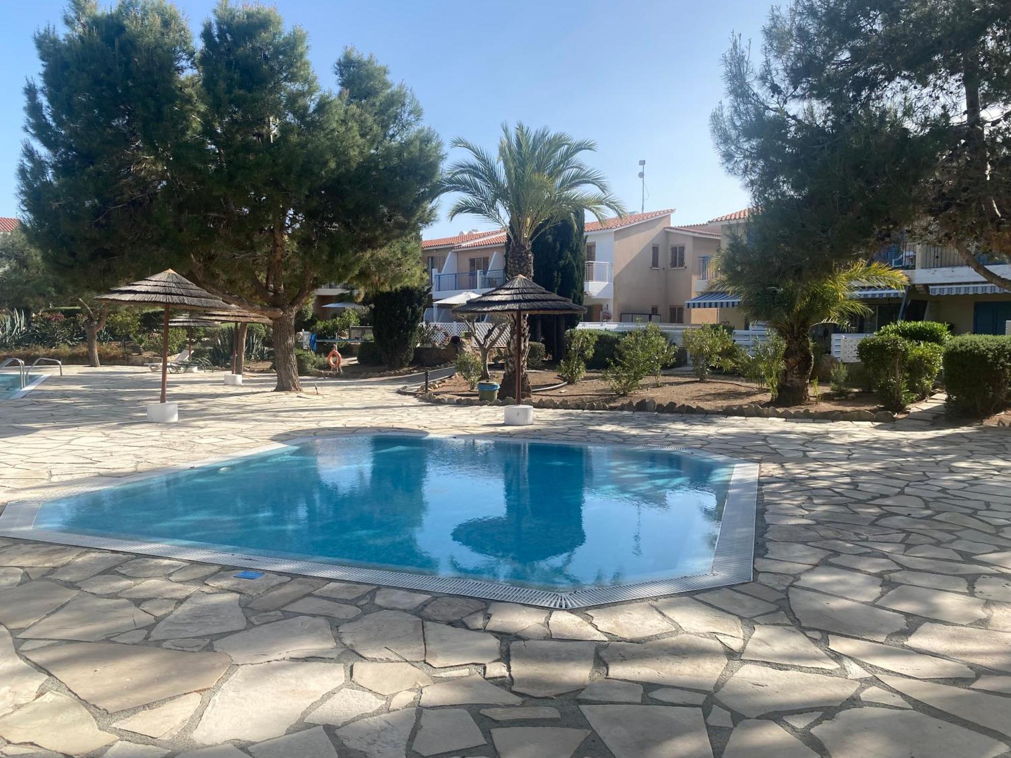 Newly Renovated- Regina Gardens 1, Venus Beach 500 M, Sea&Sunsets View, License Ooo7141 Pafos Zewnętrze zdjęcie