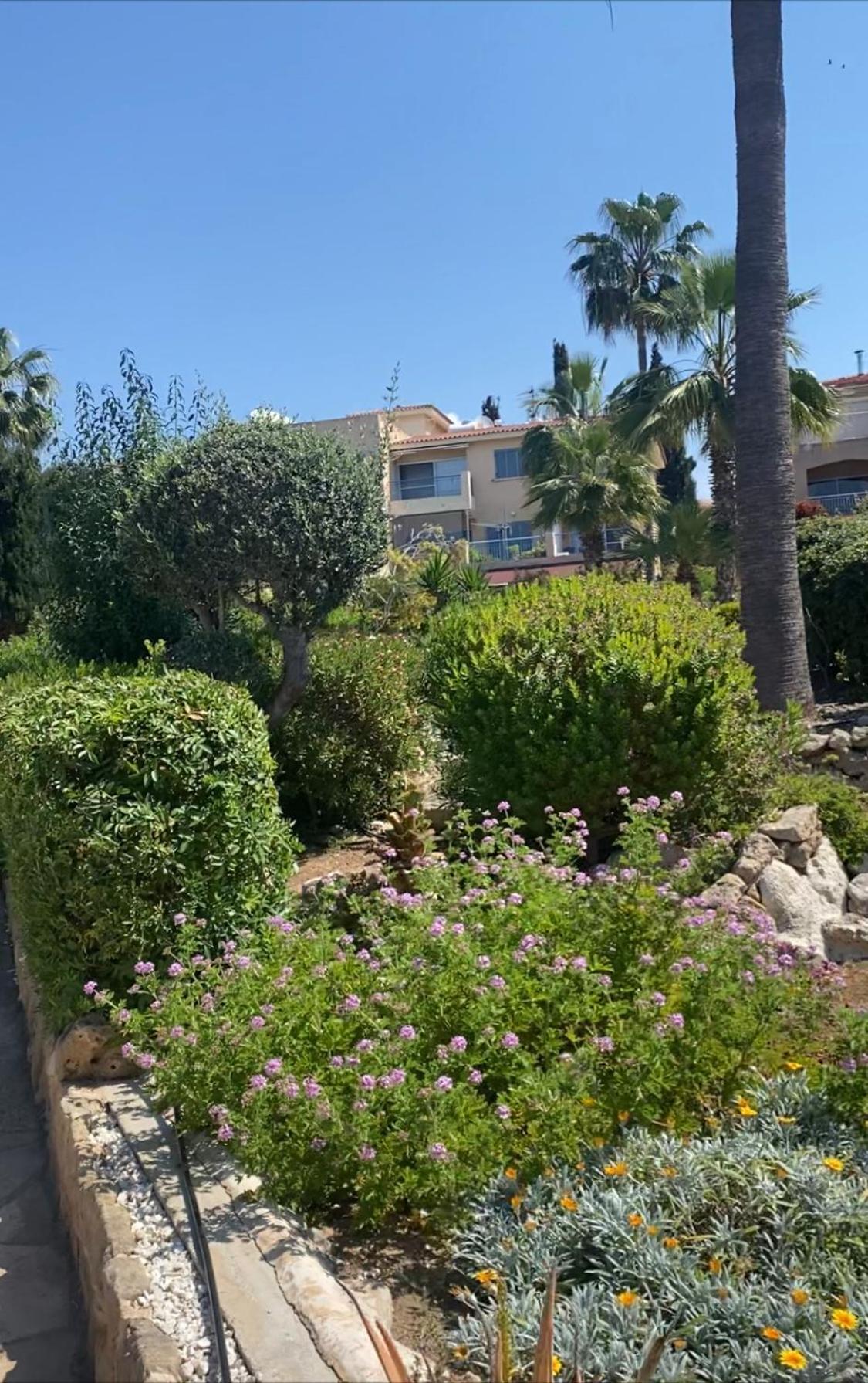 Newly Renovated- Regina Gardens 1, Venus Beach 500 M, Sea&Sunsets View, License Ooo7141 Pafos Zewnętrze zdjęcie