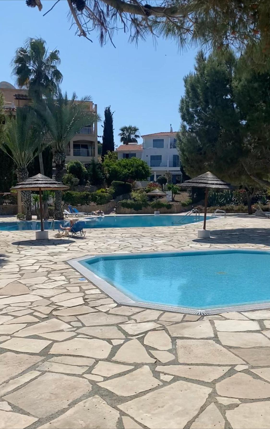 Newly Renovated- Regina Gardens 1, Venus Beach 500 M, Sea&Sunsets View, License Ooo7141 Pafos Zewnętrze zdjęcie