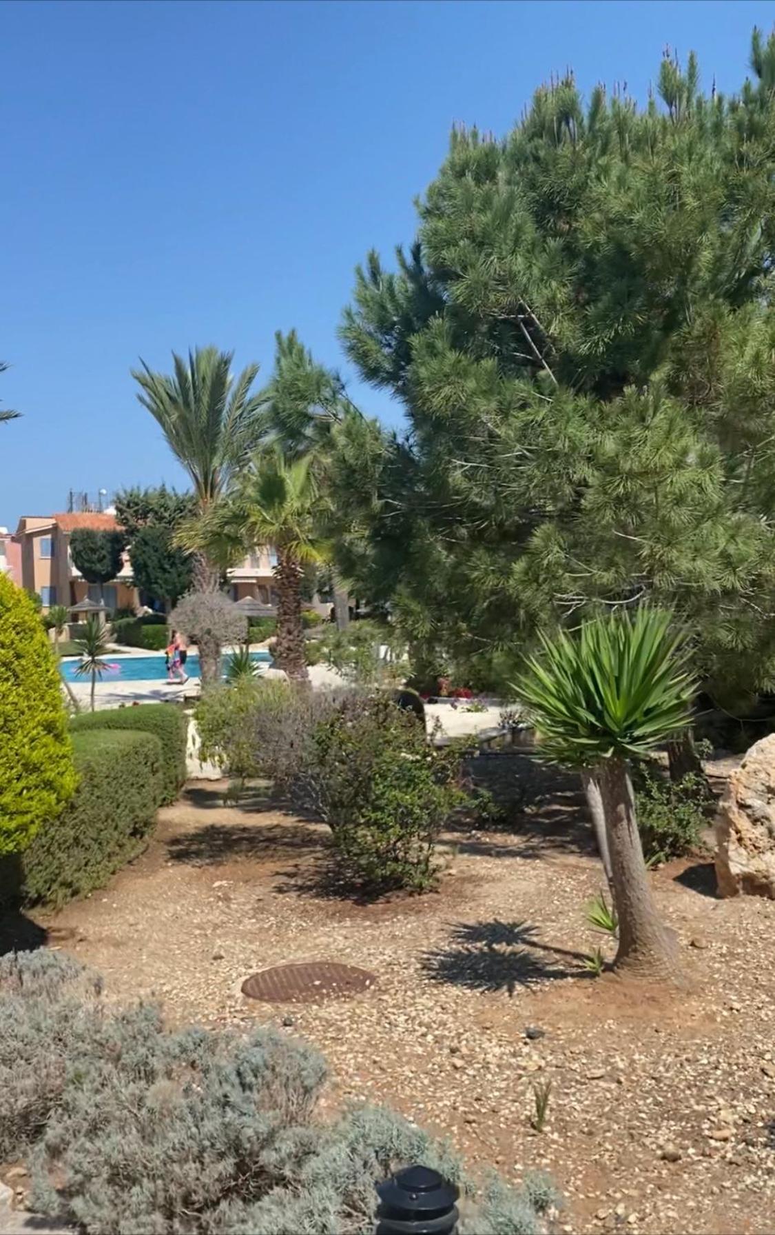 Newly Renovated- Regina Gardens 1, Venus Beach 500 M, Sea&Sunsets View, License Ooo7141 Pafos Zewnętrze zdjęcie