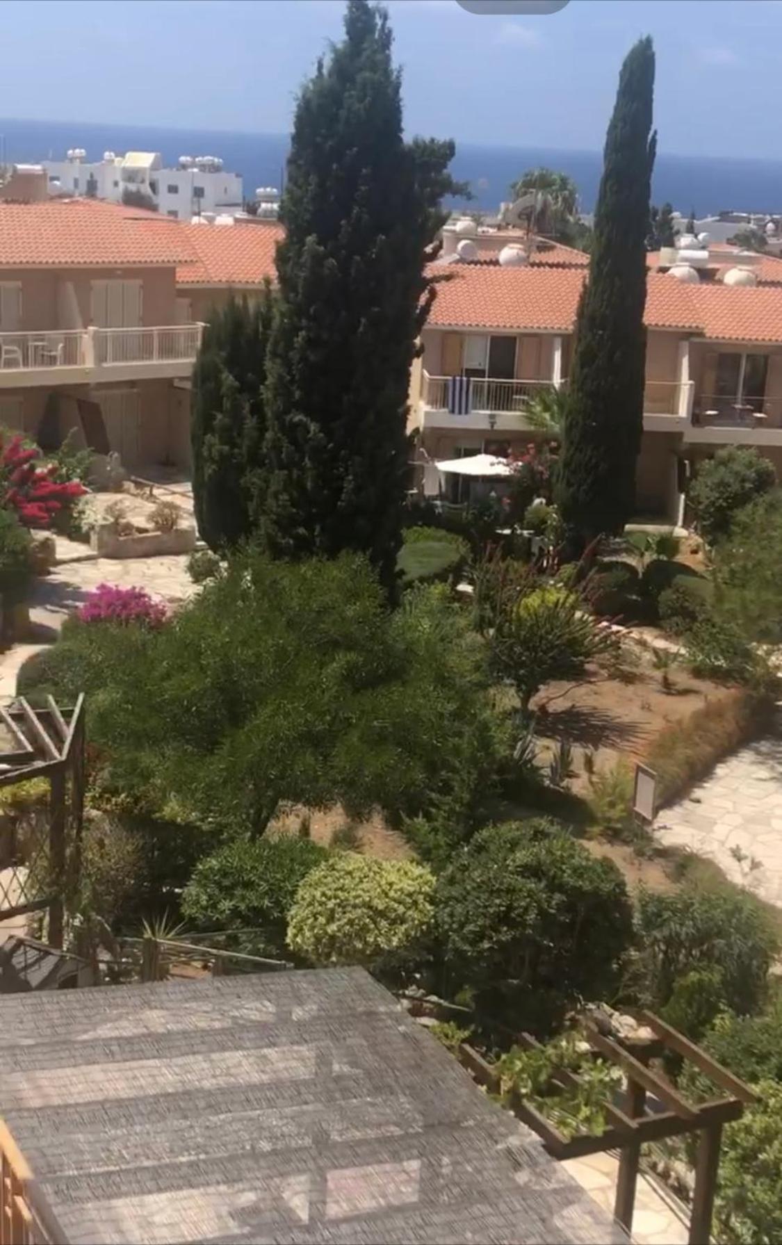 Newly Renovated- Regina Gardens 1, Venus Beach 500 M, Sea&Sunsets View, License Ooo7141 Pafos Zewnętrze zdjęcie